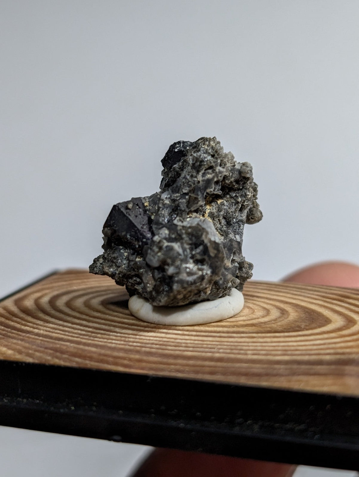 A dark, rough-textured mineral specimen with a mix of black and gray hues sits atop a small white circular base.