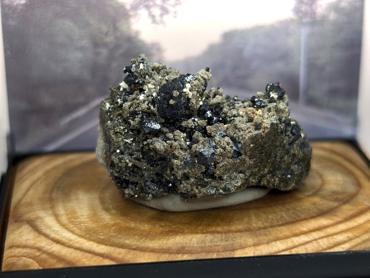 A rugged, dark gray and black mineral specimen with speckled white crystalline formations rests on a polished wooden base.