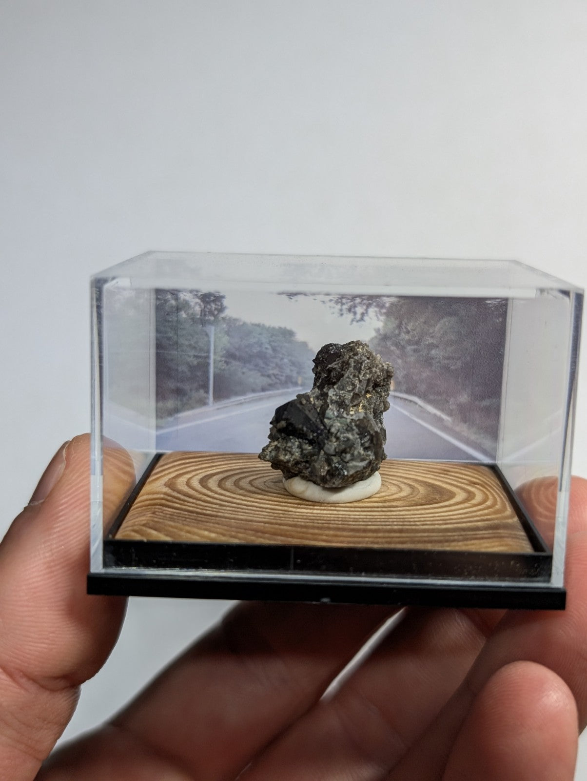 A dark, textured mineral specimen displayed in a clear acrylic display case with a wooden base.