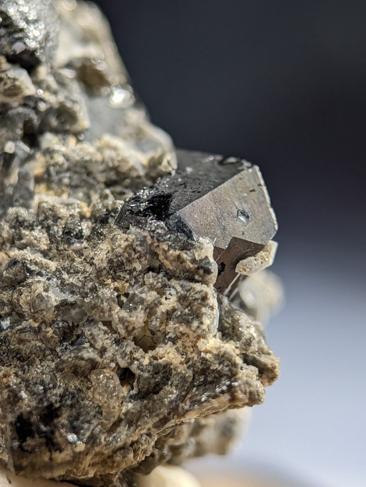 A dark, metallic-looking mineral crystal with sharp edges and a reflective surface protrudes from a rough, textured rock matrix.