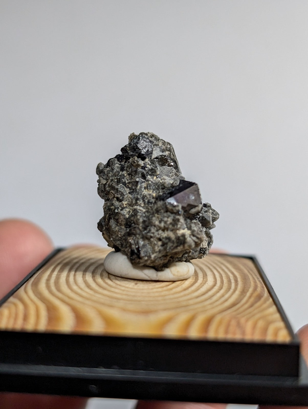 A dark, faceted mineral specimen with a rough, grayish matrix sits atop a smooth white base within a wooden display tray.
