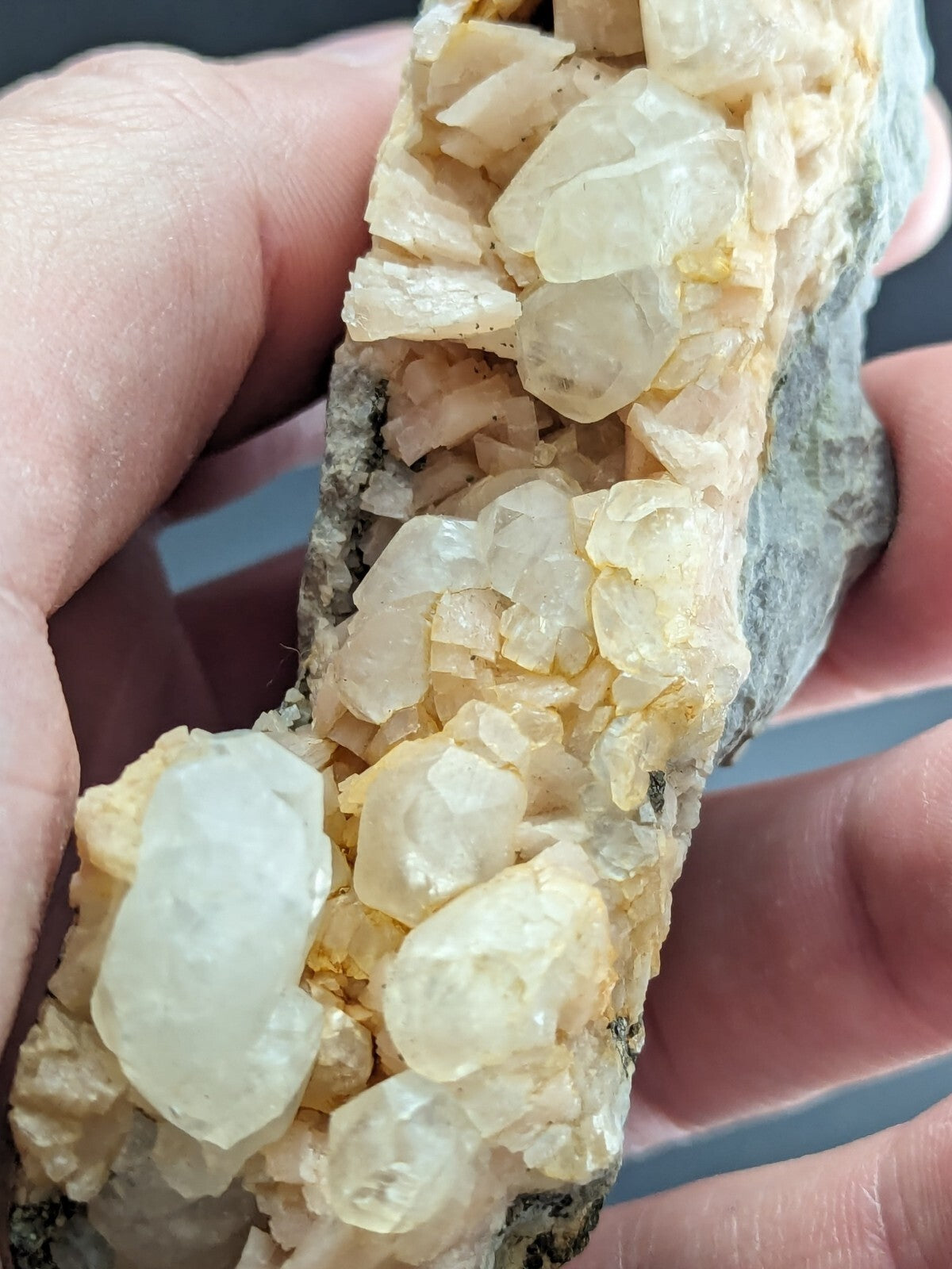 A hand holds a geological specimen featuring translucent, pale yellow to white quartz crystals growing in dense clusters on a dark gray matrix.
