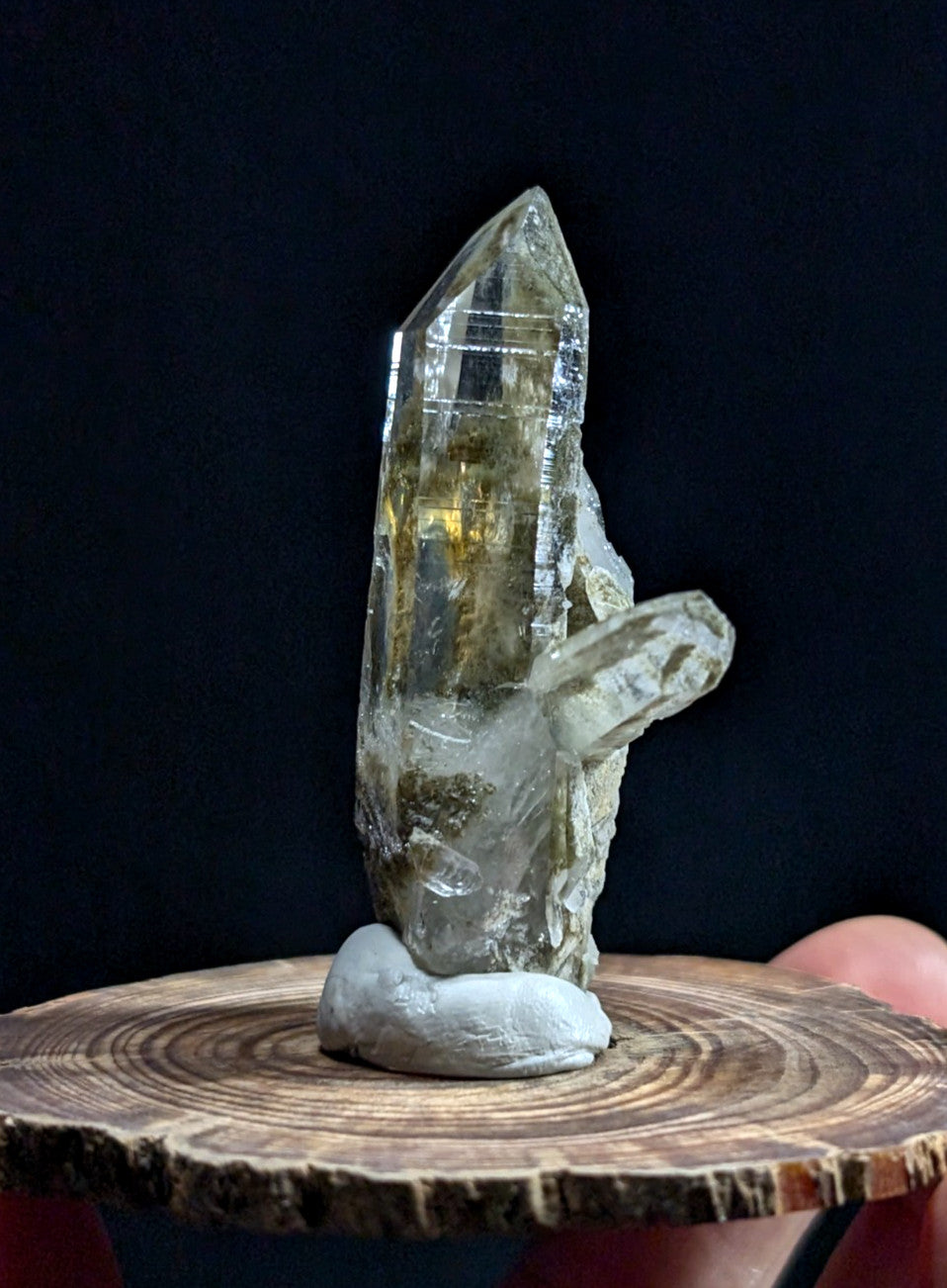 A translucent greenish-yellow quartz crystal cluster with a pointed tip, mounted on a small white base.