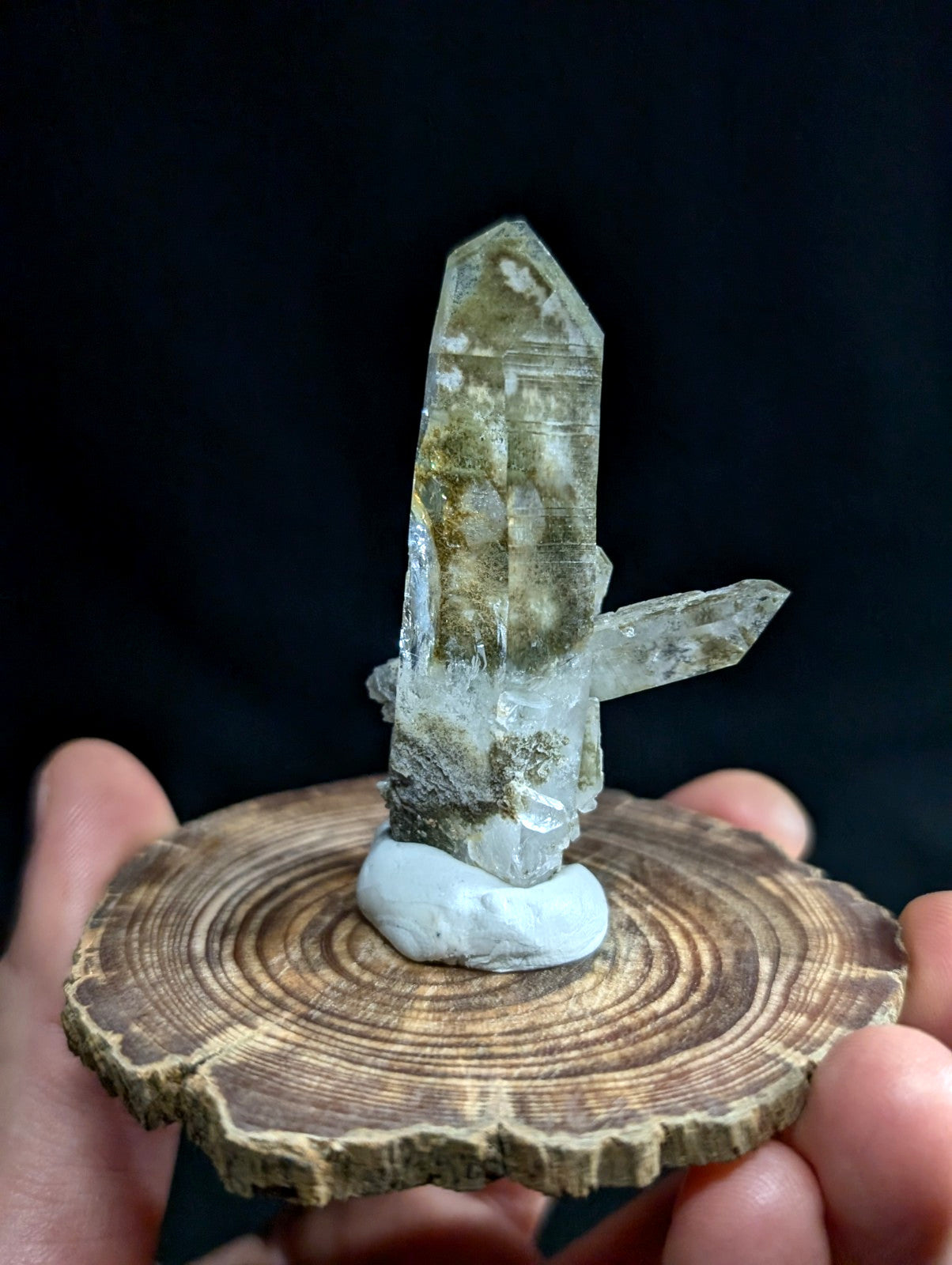 A translucent greenish quartz crystal cluster with natural inclusions, mounted on a white base and displayed atop a rustic wooden slice.