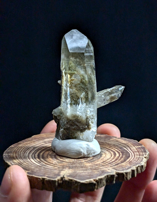A translucent, pale greenish quartz crystal cluster with a prominent central point and smaller side branches rests on a circular wooden slice.