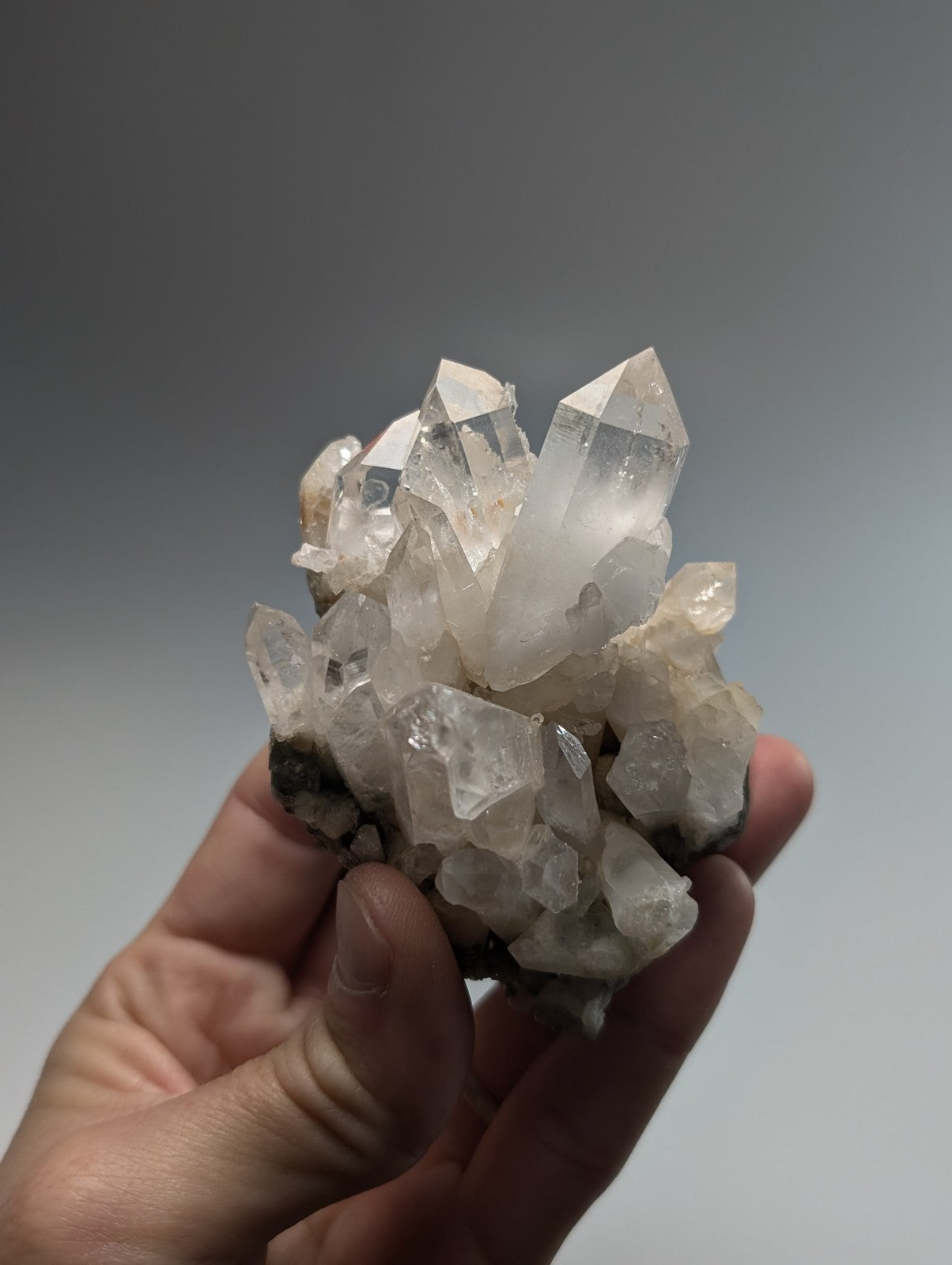 A cluster of clear, translucent quartz crystals with sharp, pointed facets and a natural, earthy base.