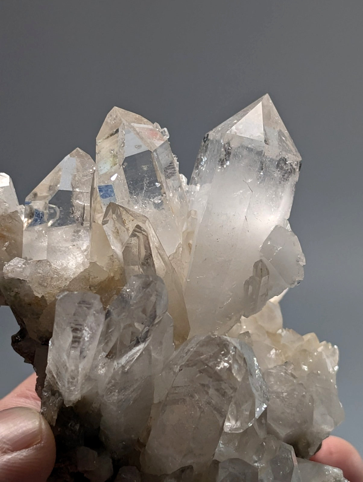 A cluster of clear, translucent quartz crystals with pointed tips and a slightly cloudy base.