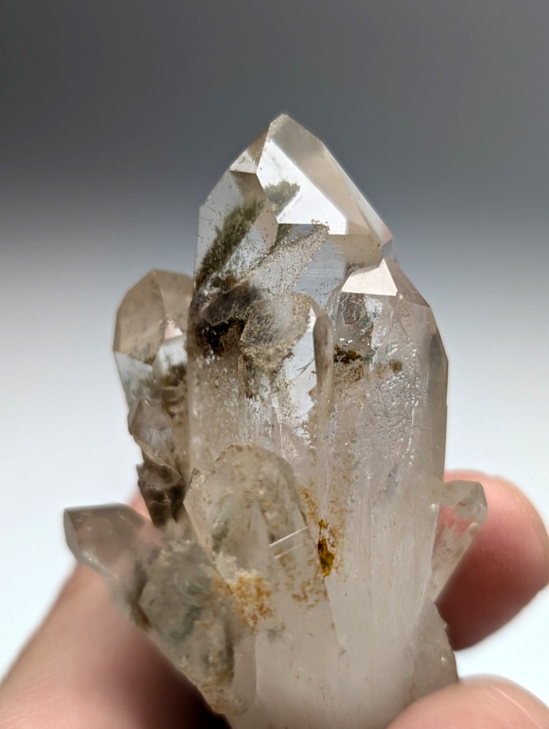 A+++ chlorite phantom quartz crystal cluster with clear faceted points and greenish brown inclusions from Willis Mine Arkansas