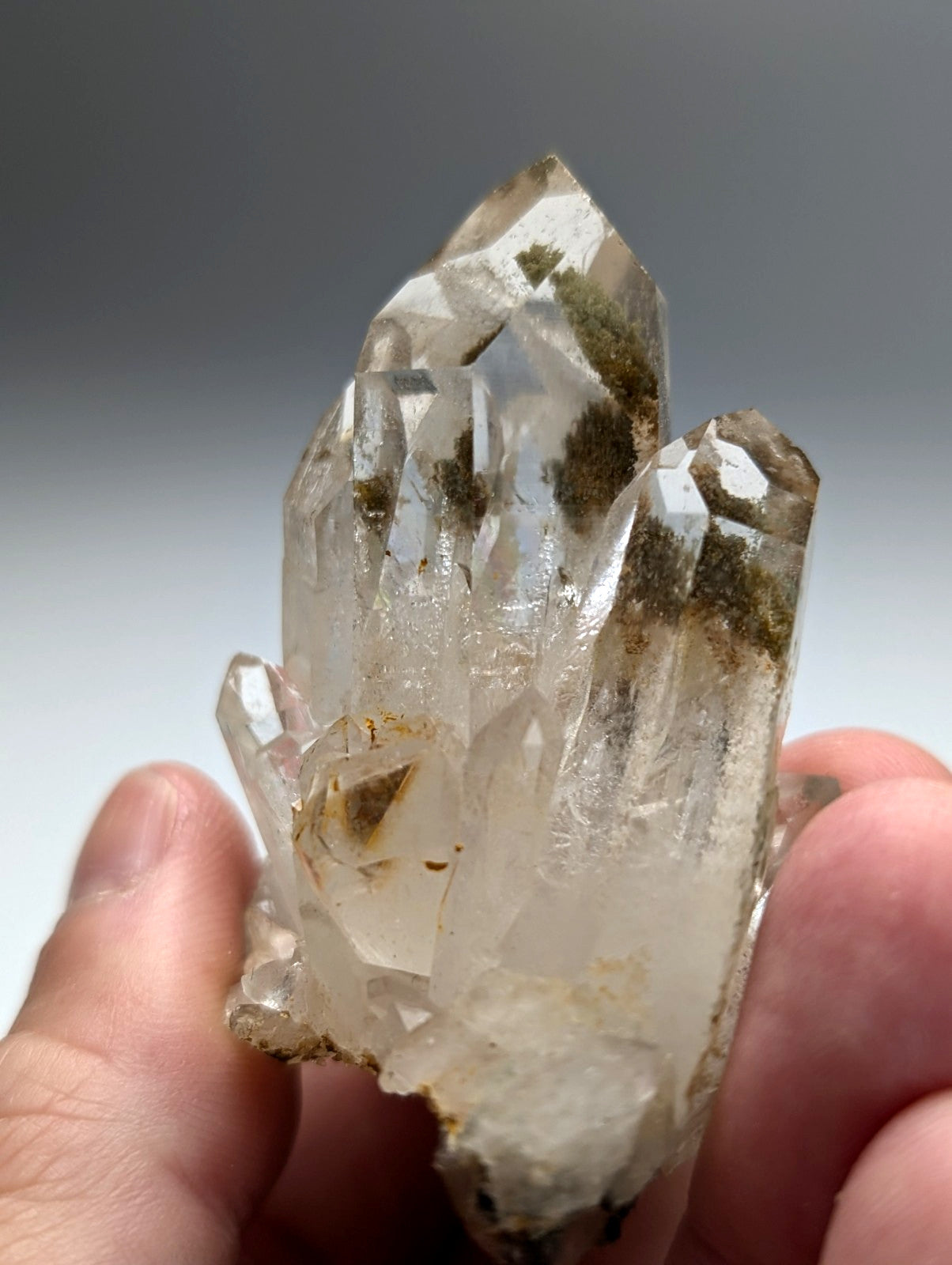 A+++ chlorite phantom quartz crystal cluster with translucent clear faceted points and brownish inclusions from willis mine arkansas