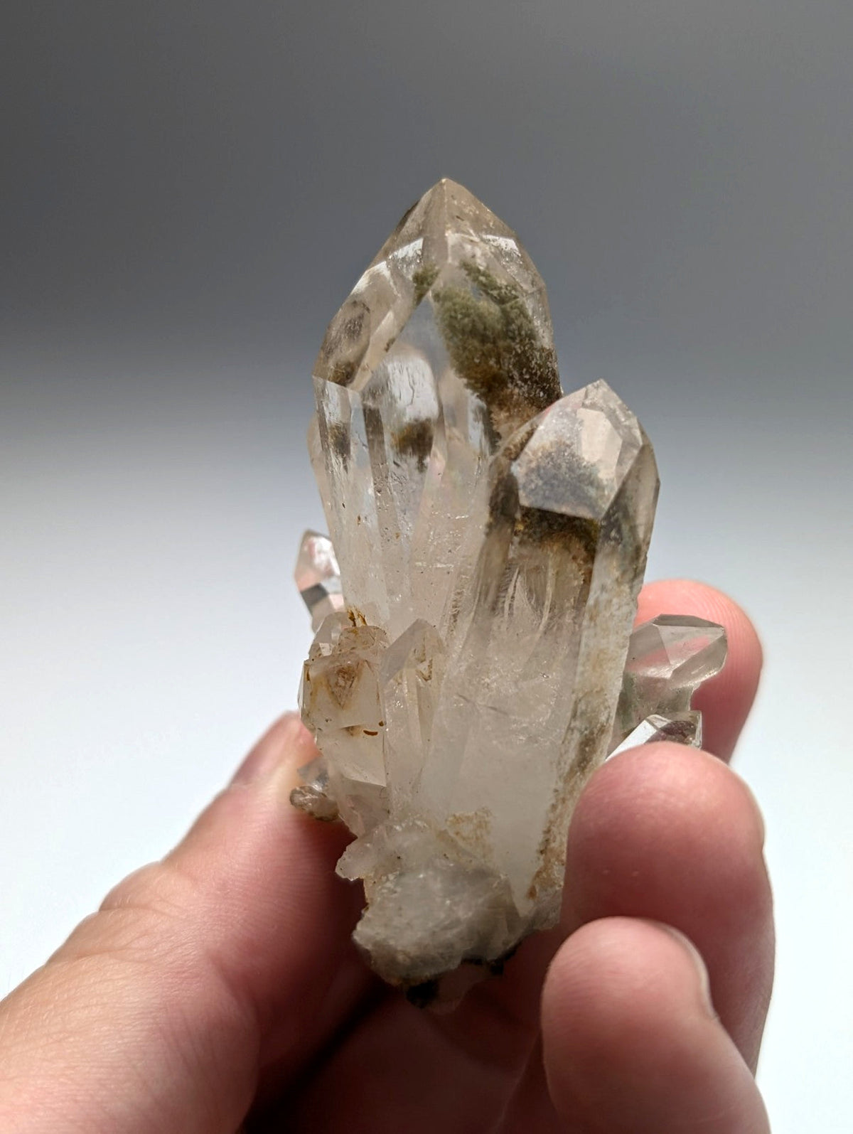 A+++ chlorite phantom quartz crystal cluster translucent smoky hue with natural mineral inclusions from willis mine Arkansas