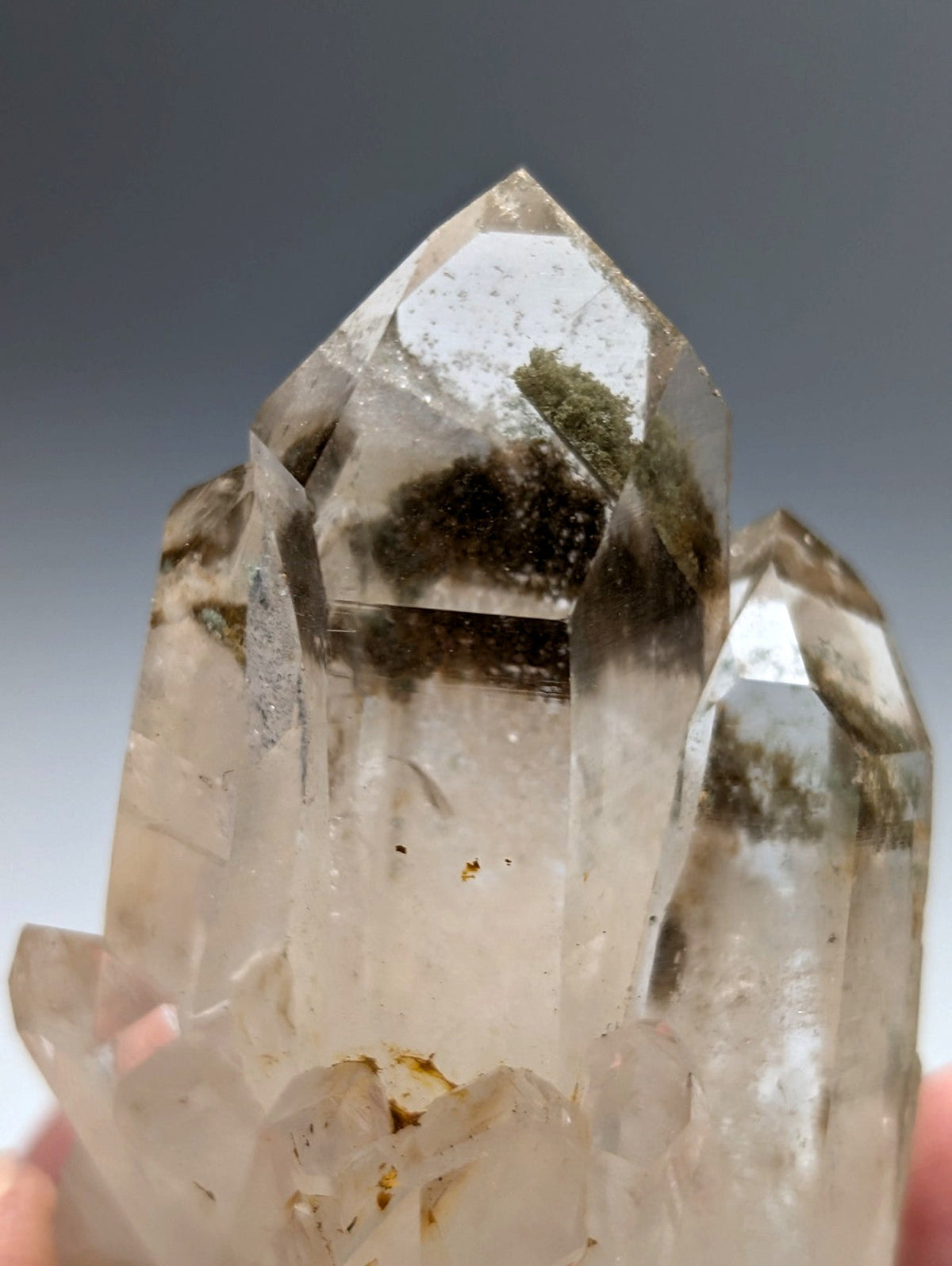 A+++ chlorite phantom clear quartz crystal cluster with natural inclusions and brown veining from willis mine arkansas