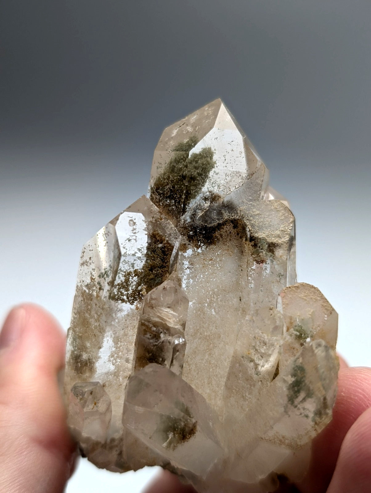 A+++ chlorite phantom quartz crystal cluster with greenish moss inclusions from old stock Willis mine Arkansas