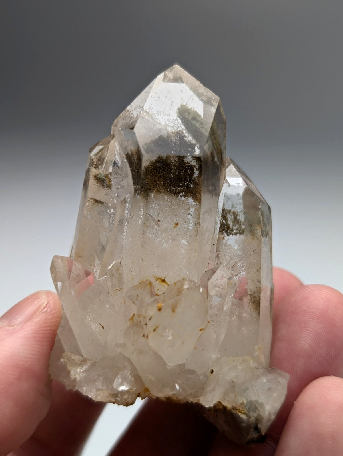 A clear translucent a plus plus chlorite phantom quartz crystal cluster with natural inclusions from Willis Mine Arkansas