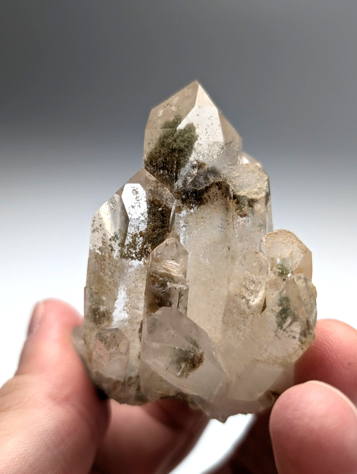 A+++ chlorite phantom quartz crystal cluster with clear pointed facets and dark green moss inclusions from willis mine