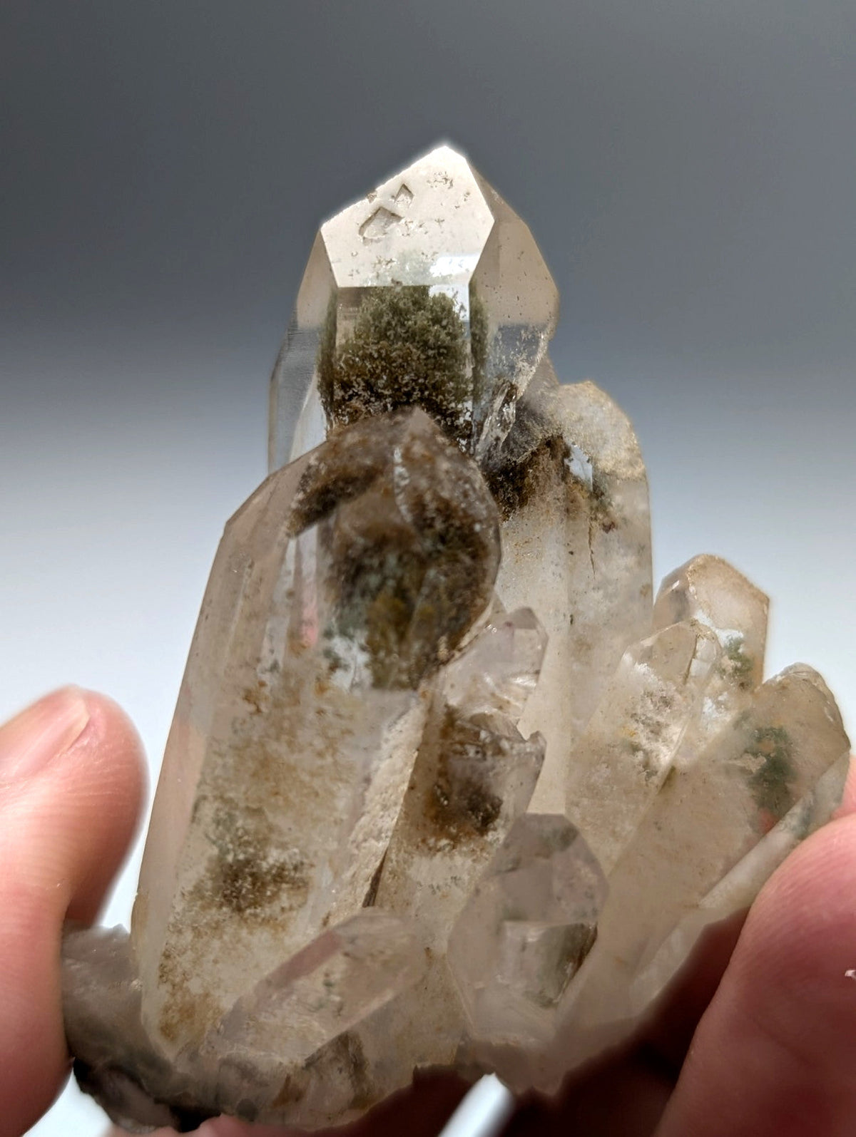 A translucent chlorite phantom quartz crystal cluster with clear faceted points and greenish brown inclusions from willis mine arkansas