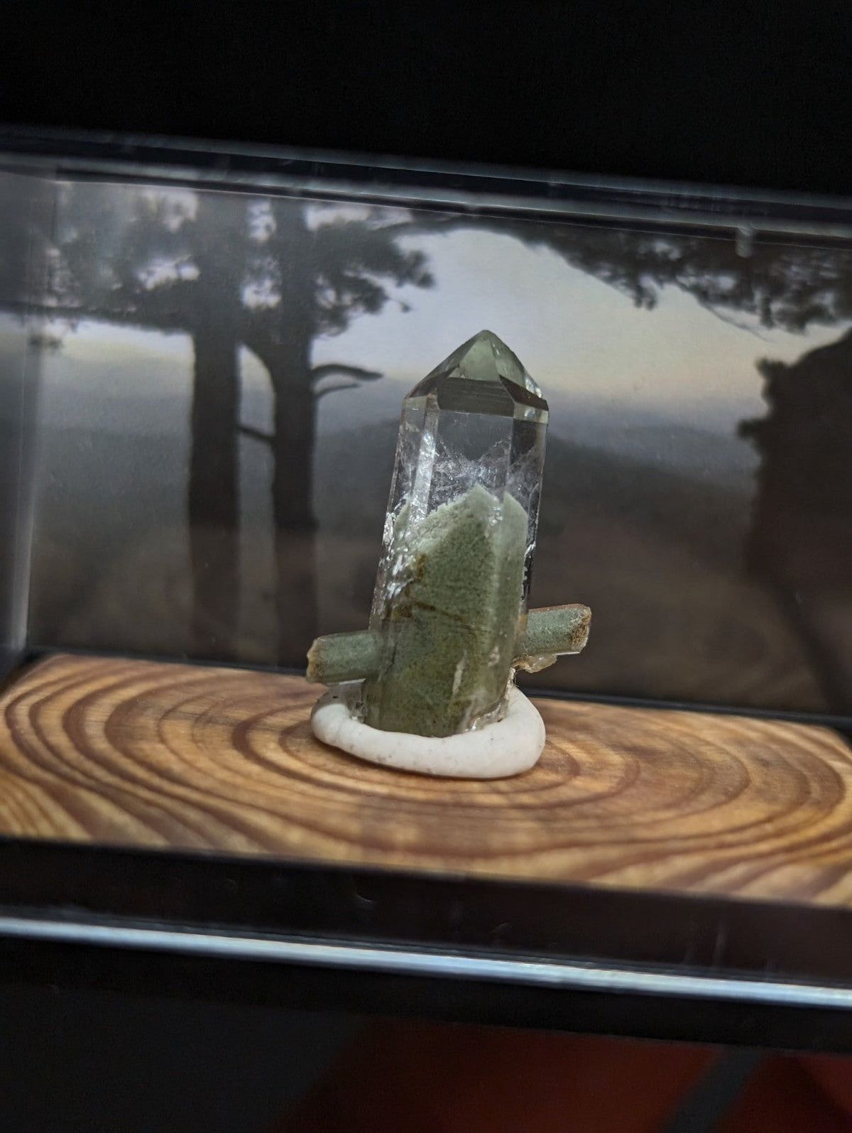 A translucent green crystal with a pointed top and natural, rough-textured base sits on a white circular pedestal inside a clear display case.