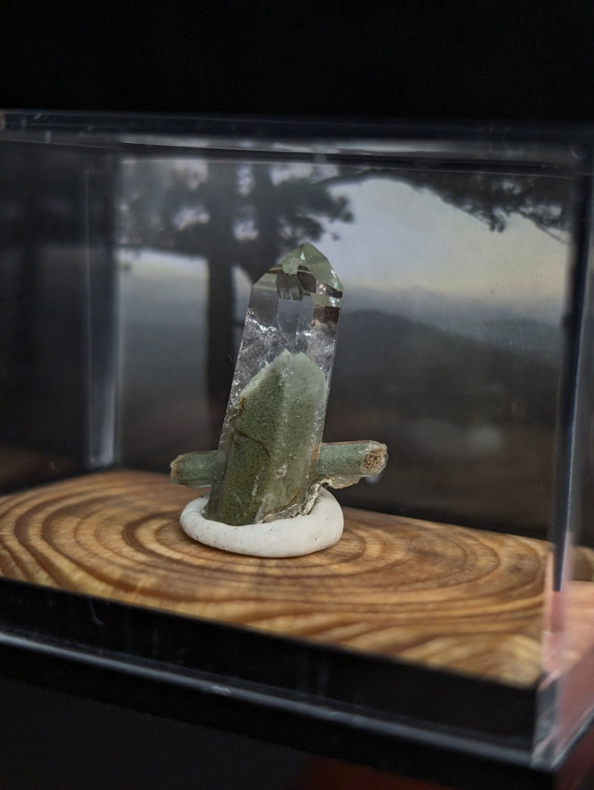 A translucent green crystal specimen with a clear, pointed tip and rougher base rests on a white circular pedestal inside a transparent display case.
