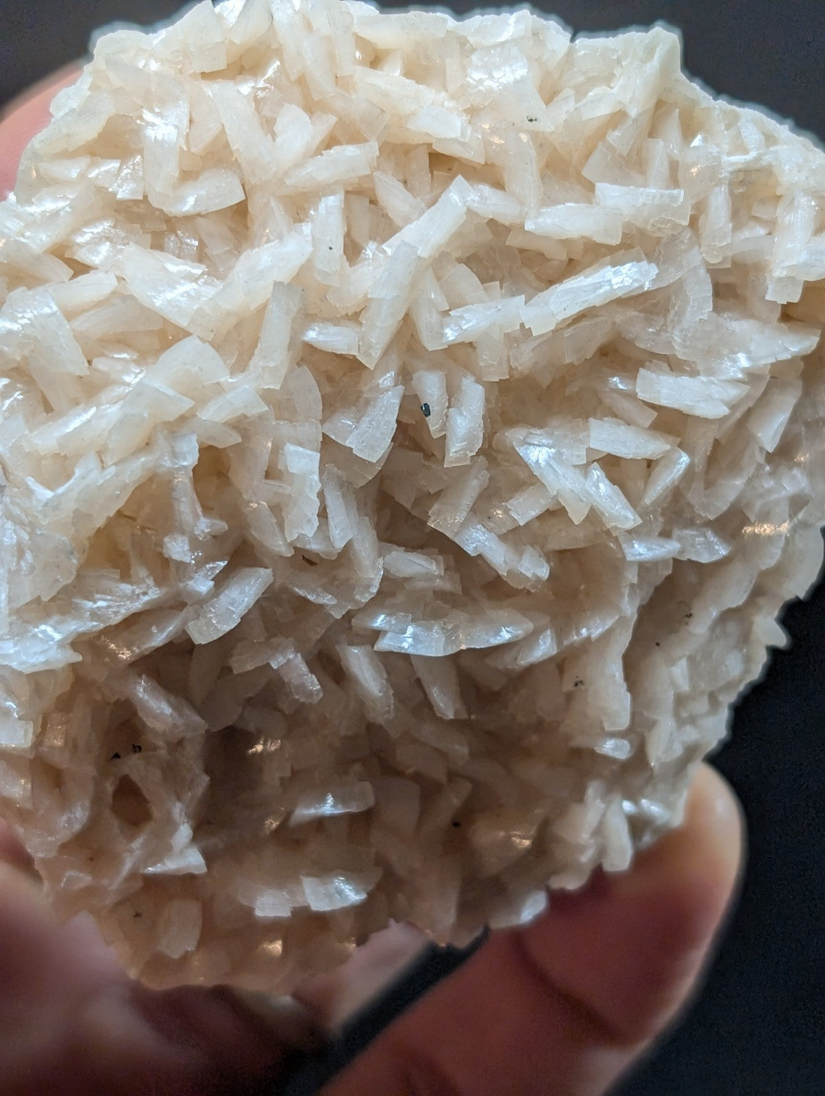A translucent, off-white mineral specimen with a clustered arrangement of needle-like crystals.