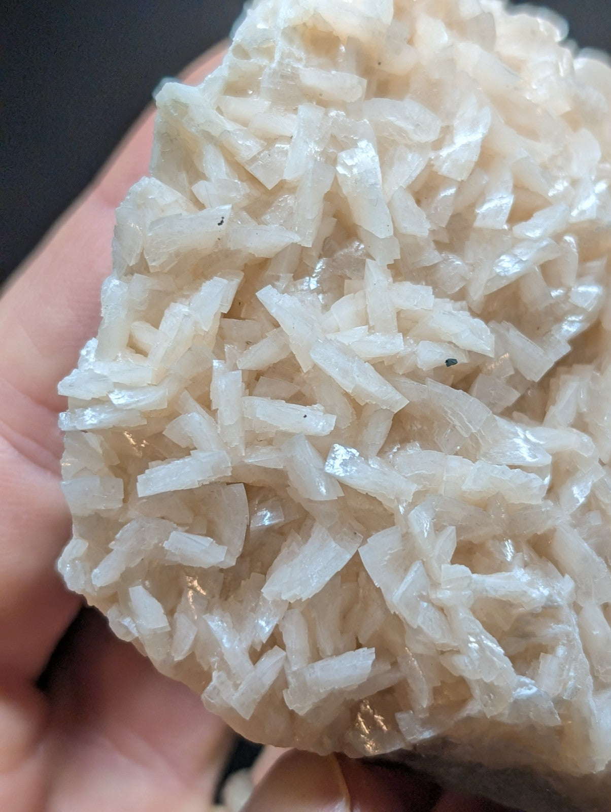 A translucent white crystalline mineral specimen with a dense, interlocking cluster of elongated prismatic crystals.