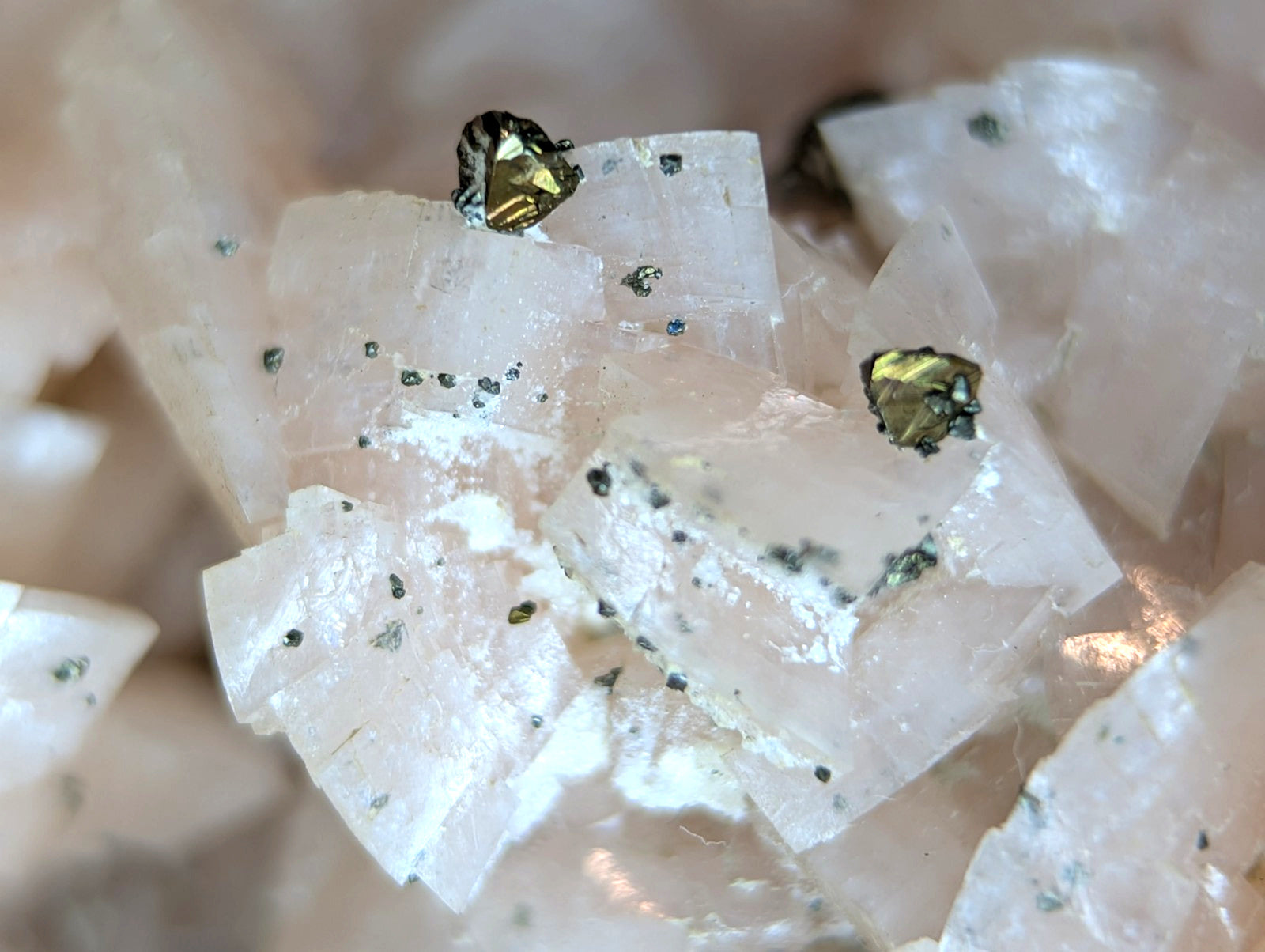 Translucent pink crystalline mineral with embedded golden metallic inclusions