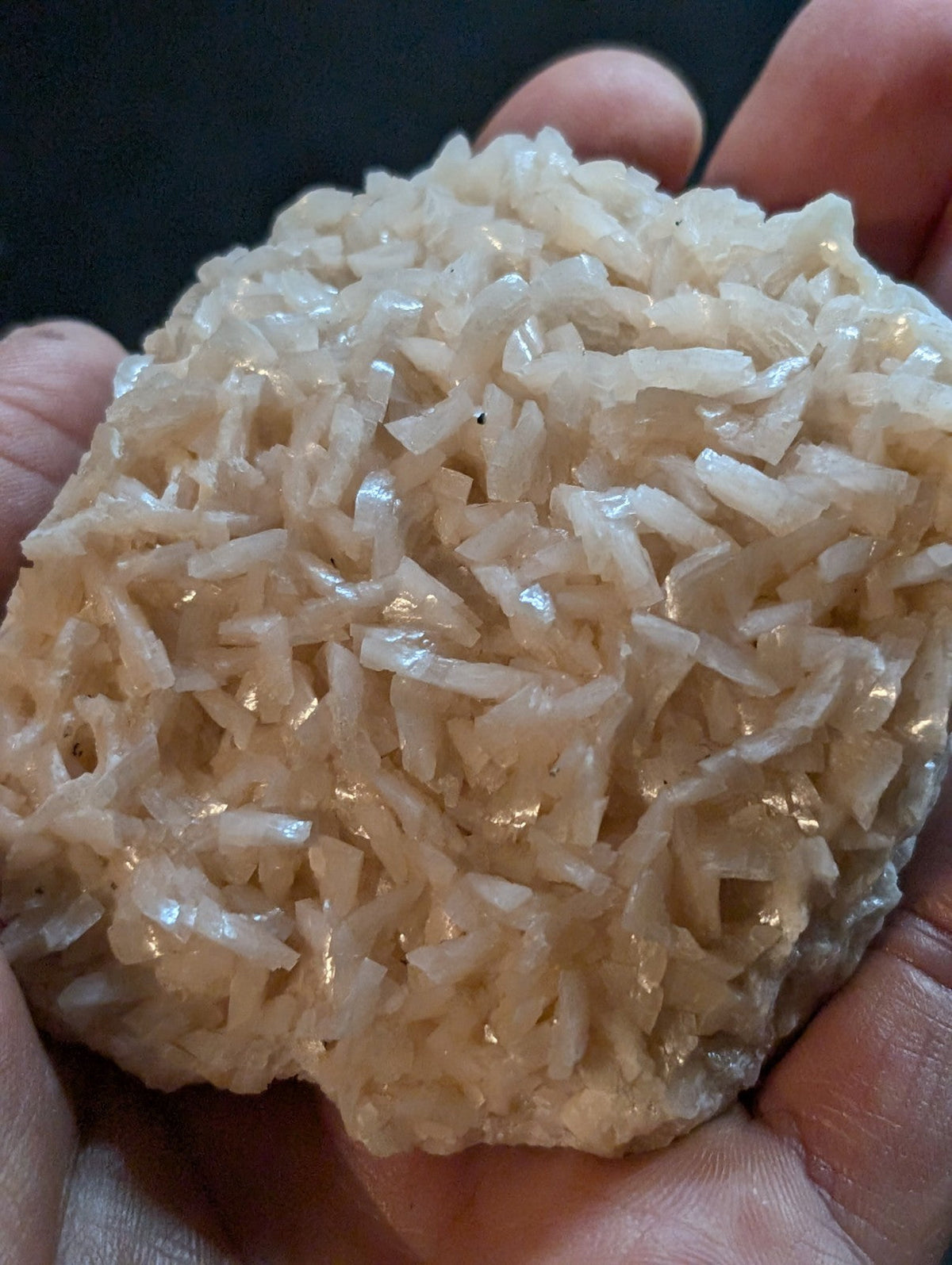A mound of cooked white rice, glistening with moisture and held gently in a person’s hands.