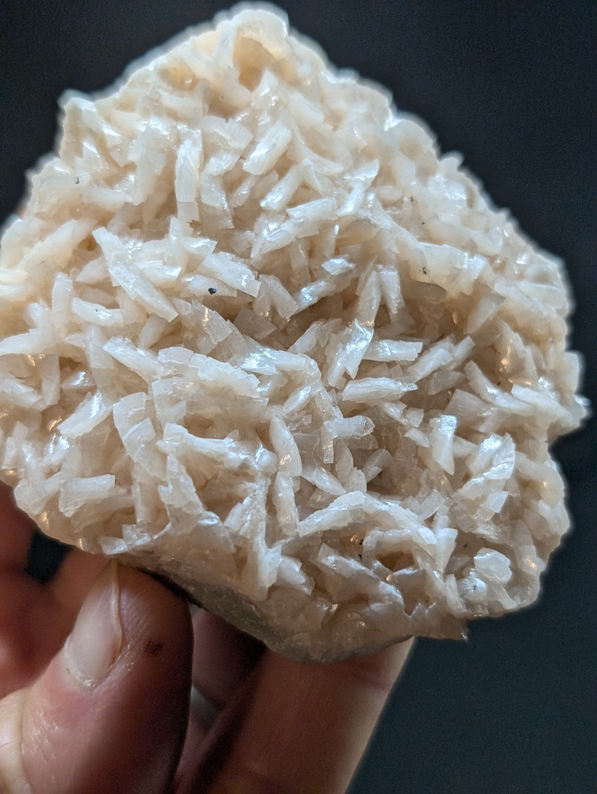 A translucent, off-white mineral specimen with a dense cluster of needle-like crystals.