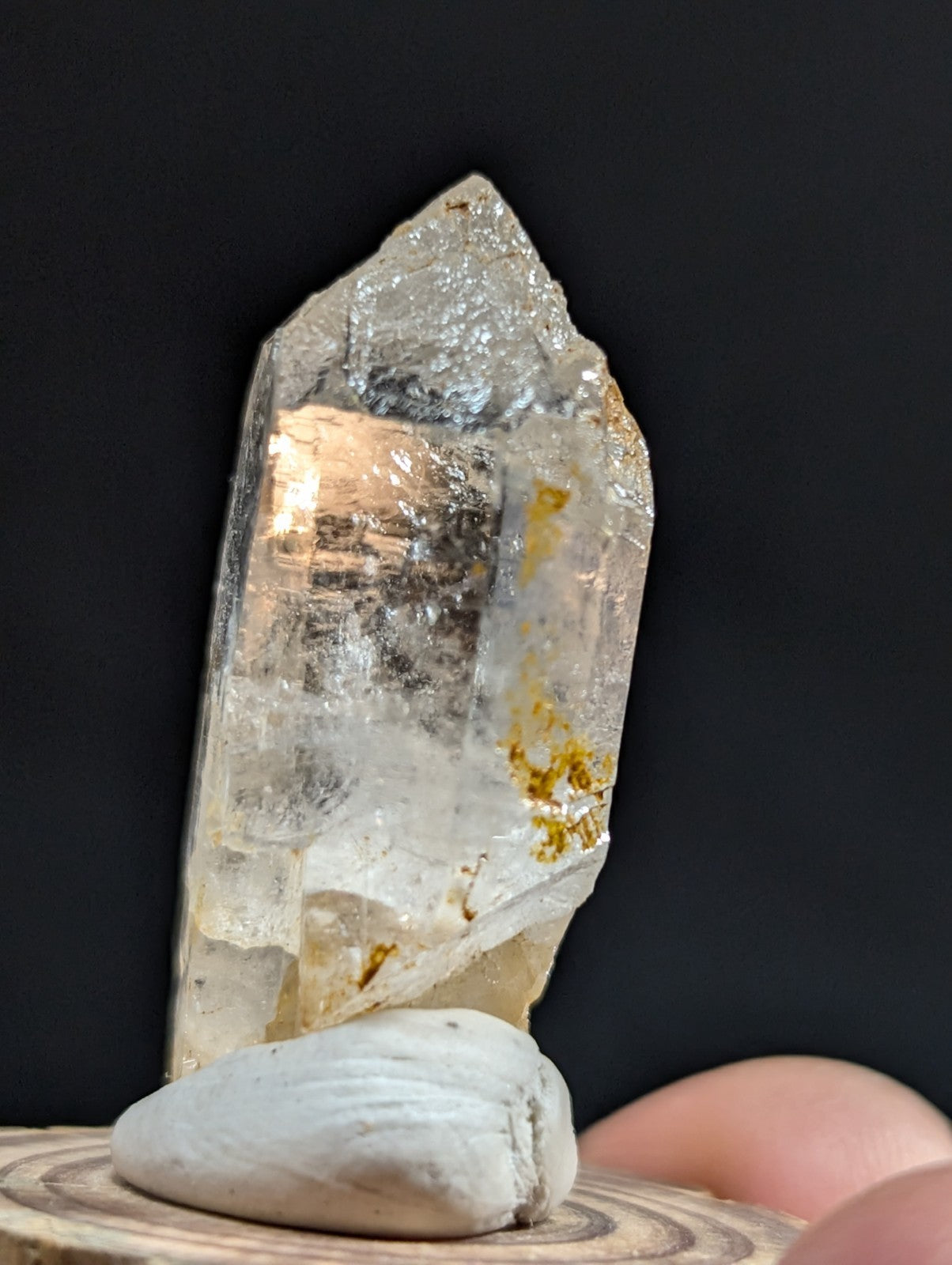 A translucent, clear quartz crystal with natural golden inclusions and a pointed tip stands upright on a smooth white stone.