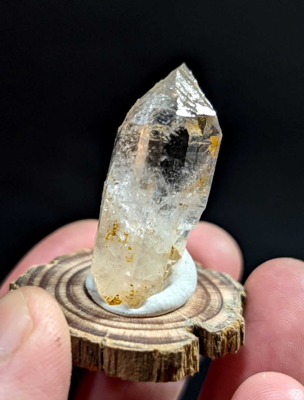 A clear, translucent quartz crystal with golden inclusions and a pointed tip, displayed on a rustic wooden slice.