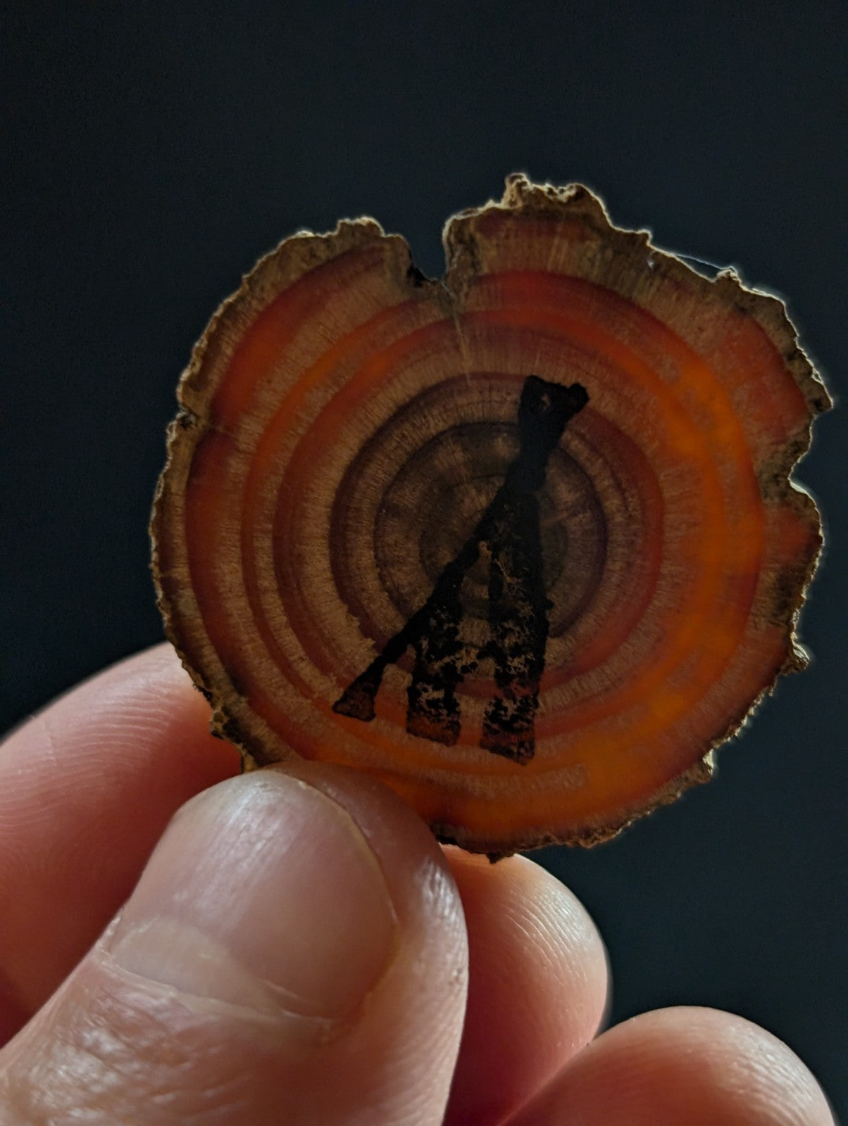 A circular, rustic wood slice pendant with concentric orange and brown rings and a black silhouette of two figures engraved on its surface.