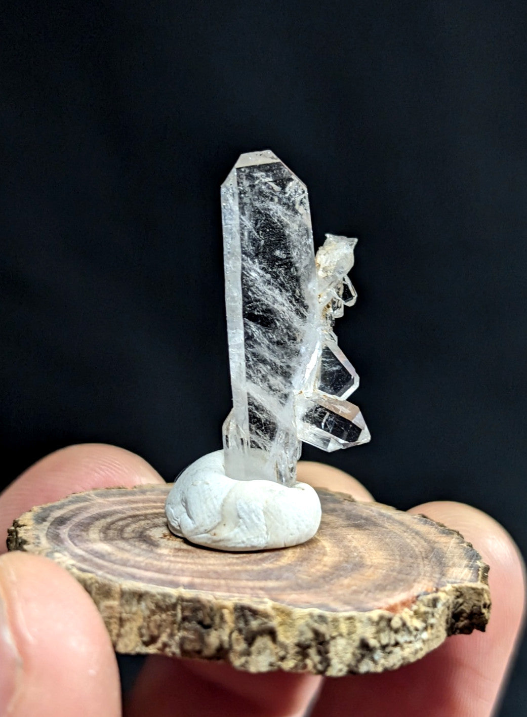 A clear quartz crystal cluster with a tall, faceted main column and smaller attached crystals, mounted on a white base atop a rustic wooden slice.