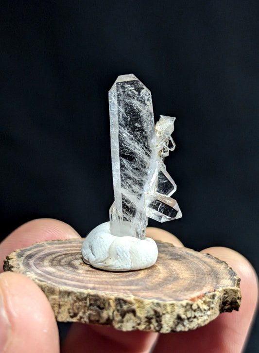 A clear quartz crystal cluster with a tall, faceted main column and smaller attached crystals, mounted on a white base atop a rustic wooden slice.