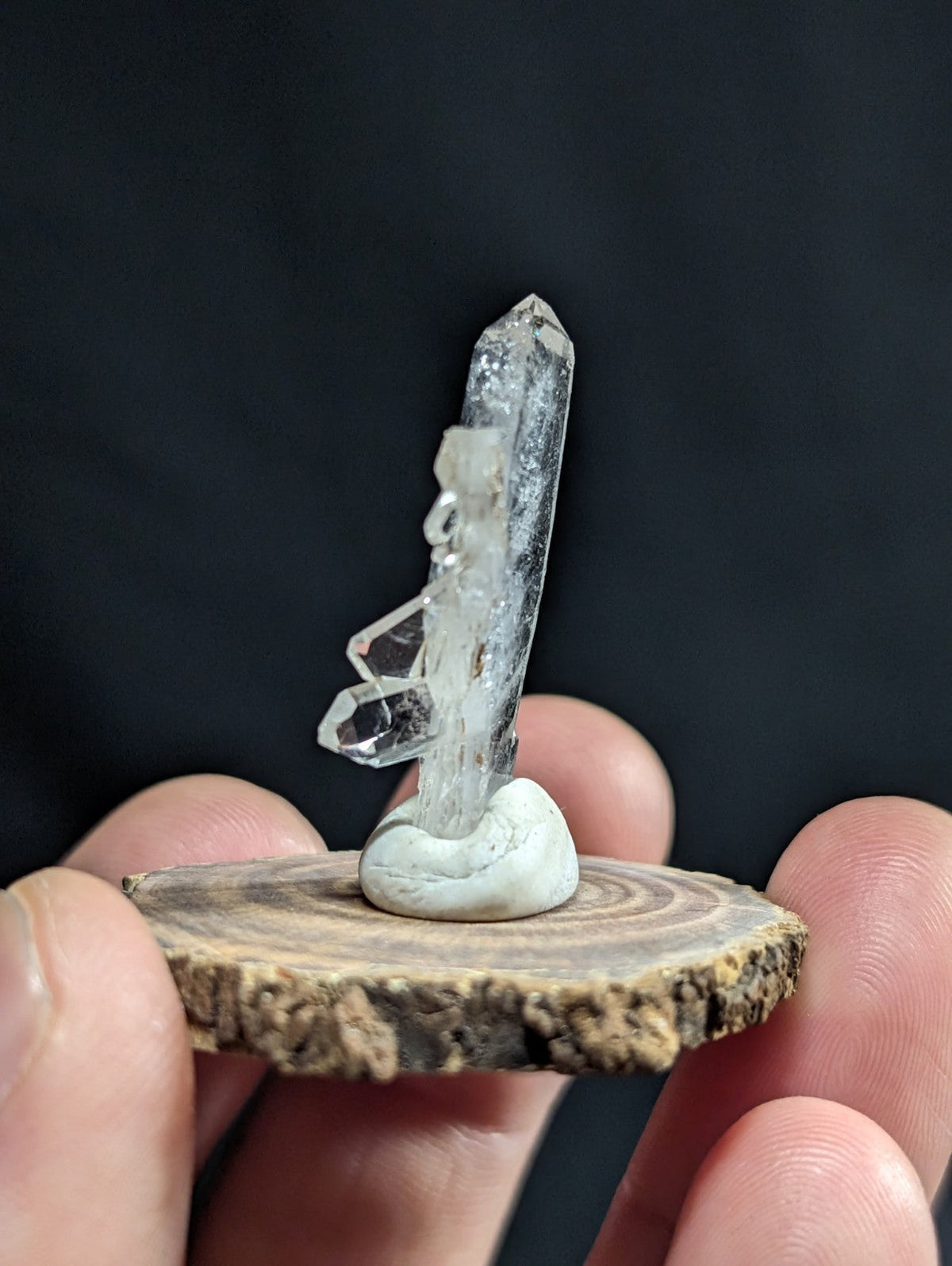 A clear quartz crystal cluster with a tall, transparent central column and smaller facets branching off, mounted on a light-colored stone base that sits atop a rustic wooden slice.