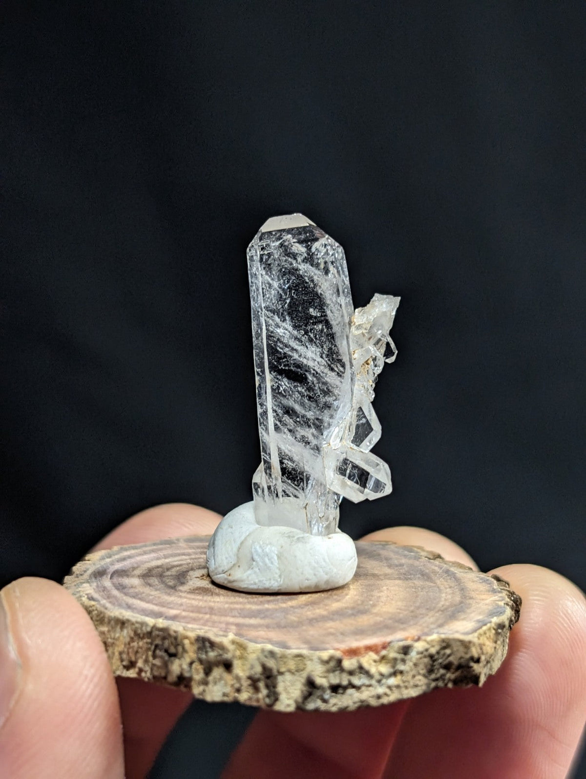 A clear quartz crystal with natural inclusions and a smooth, rounded base rests on a circular wooden slice.