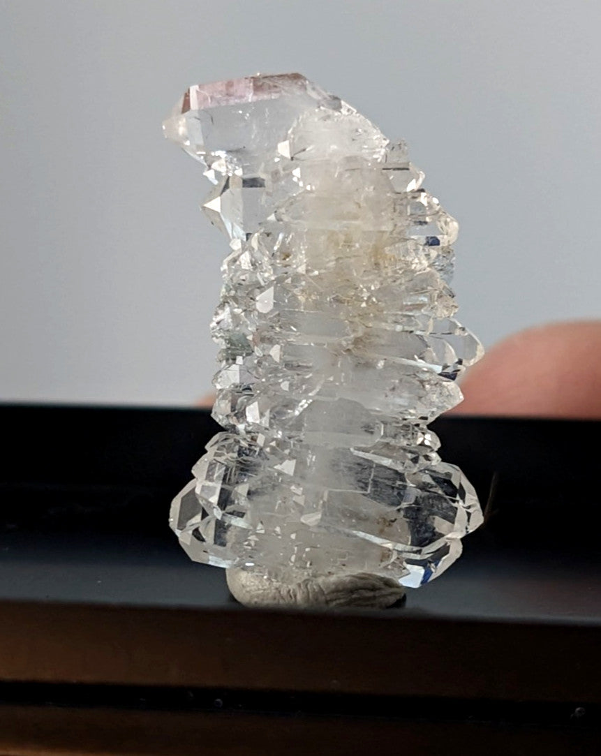 A faden quartz crystal cluster with translucent pink and clear quartz in a photo case from saline county arkansas usa