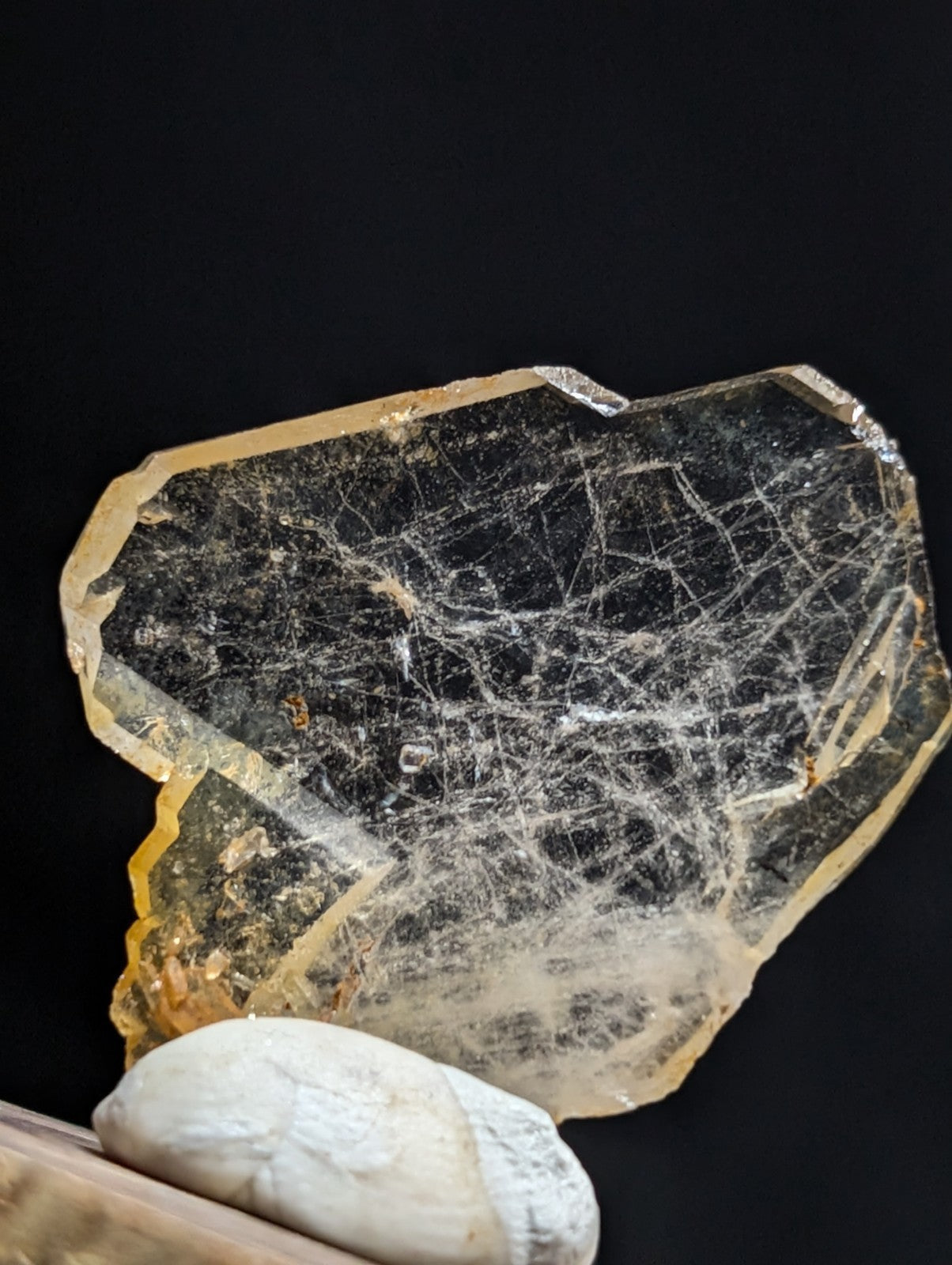 A translucent yellowish-brown mineral specimen with a dark, web-like internal pattern and jagged edges.
