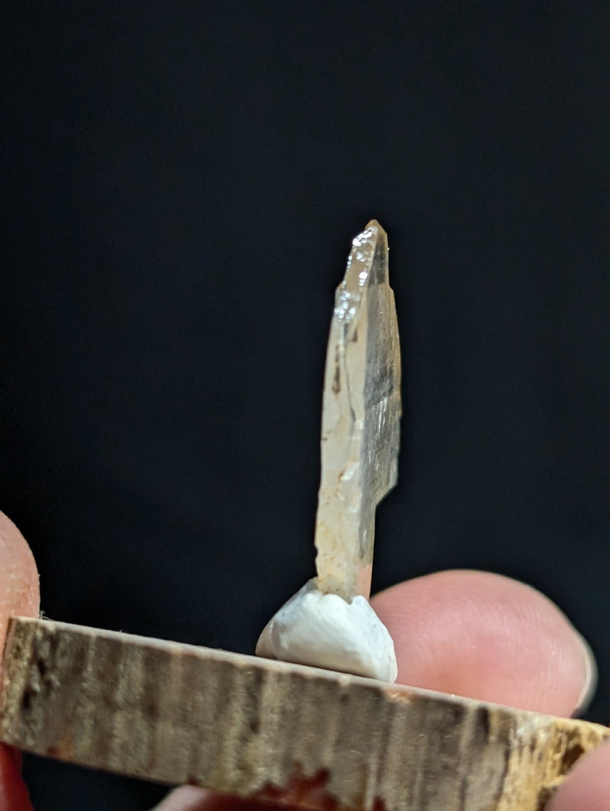 A translucent, pale quartz crystal with a pointed tip and natural facets stands upright on a small white base.
