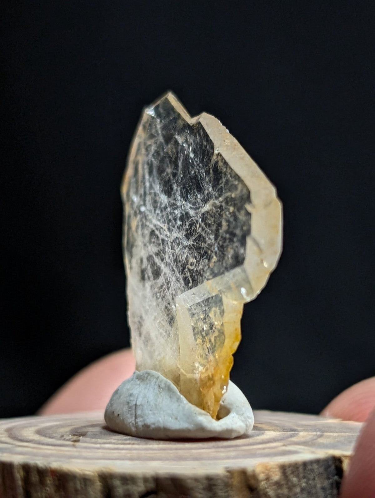 A translucent yellowish crystal with a web-like internal pattern, mounted on a gray stone base.