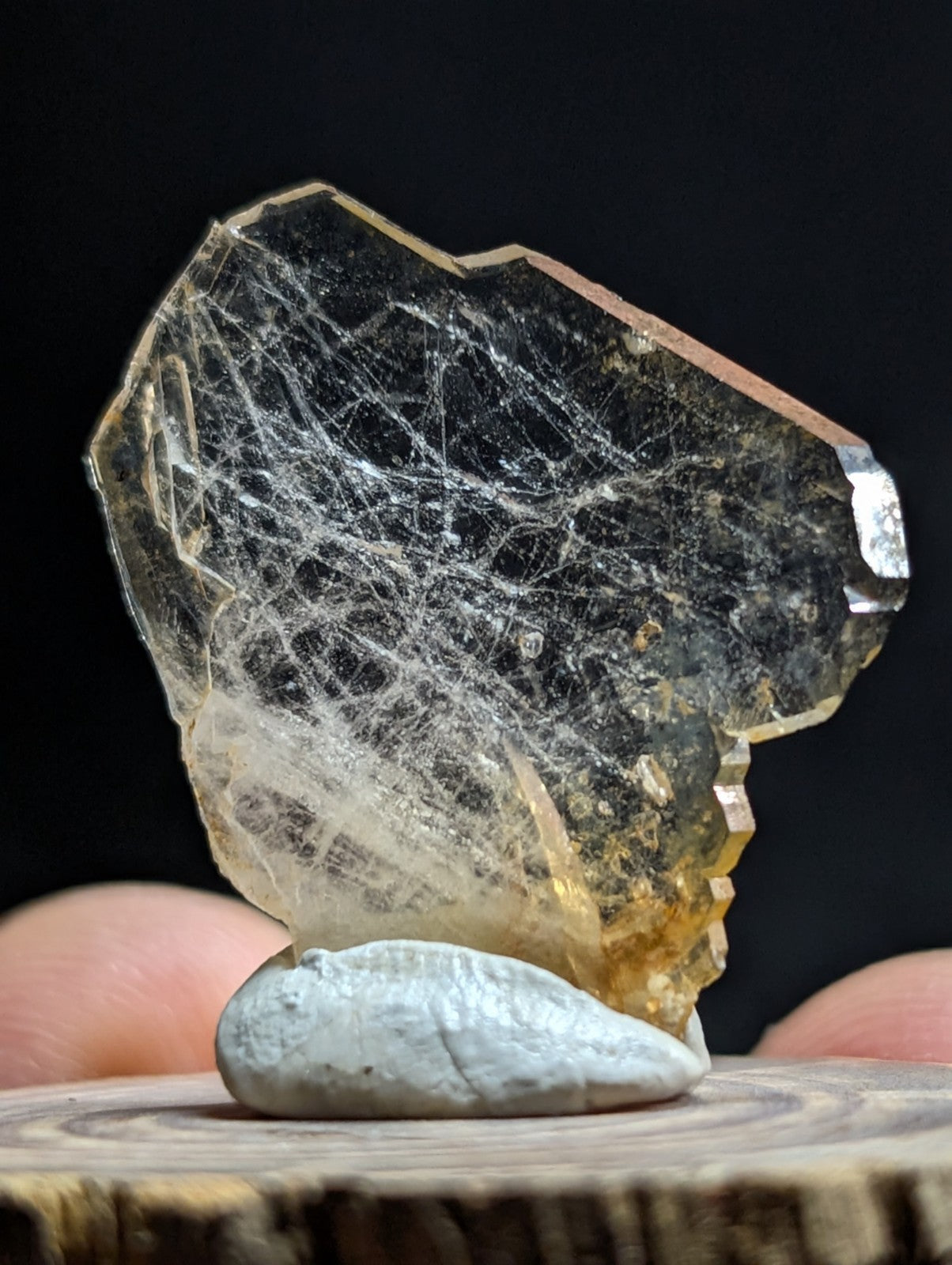 A translucent golden-yellow crystal with intricate white fibrous inclusions, displayed on a smooth gray stone base.