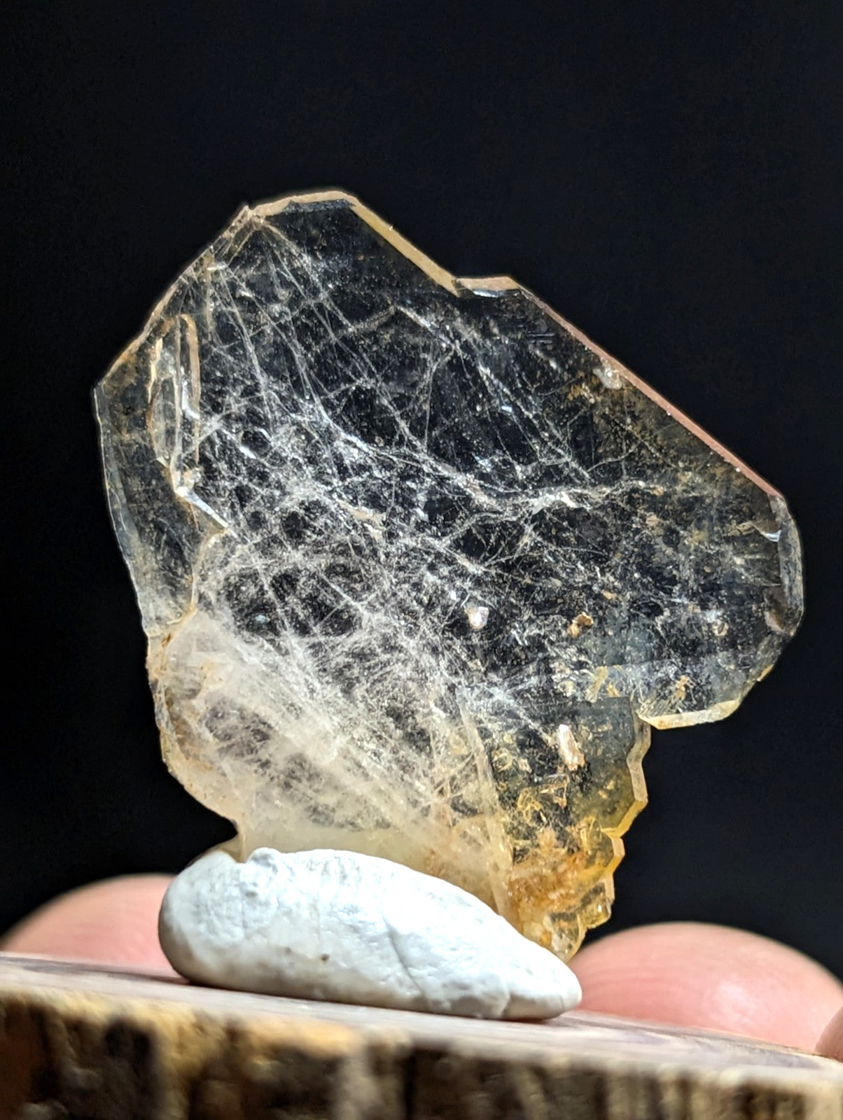 A translucent yellowish crystal with intricate white fibrous inclusions, displayed on a small white stone.