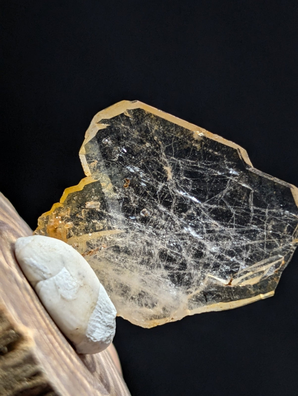 A translucent golden-yellow crystal with intricate white spiderweb-like inclusions and a rough, jagged edge.