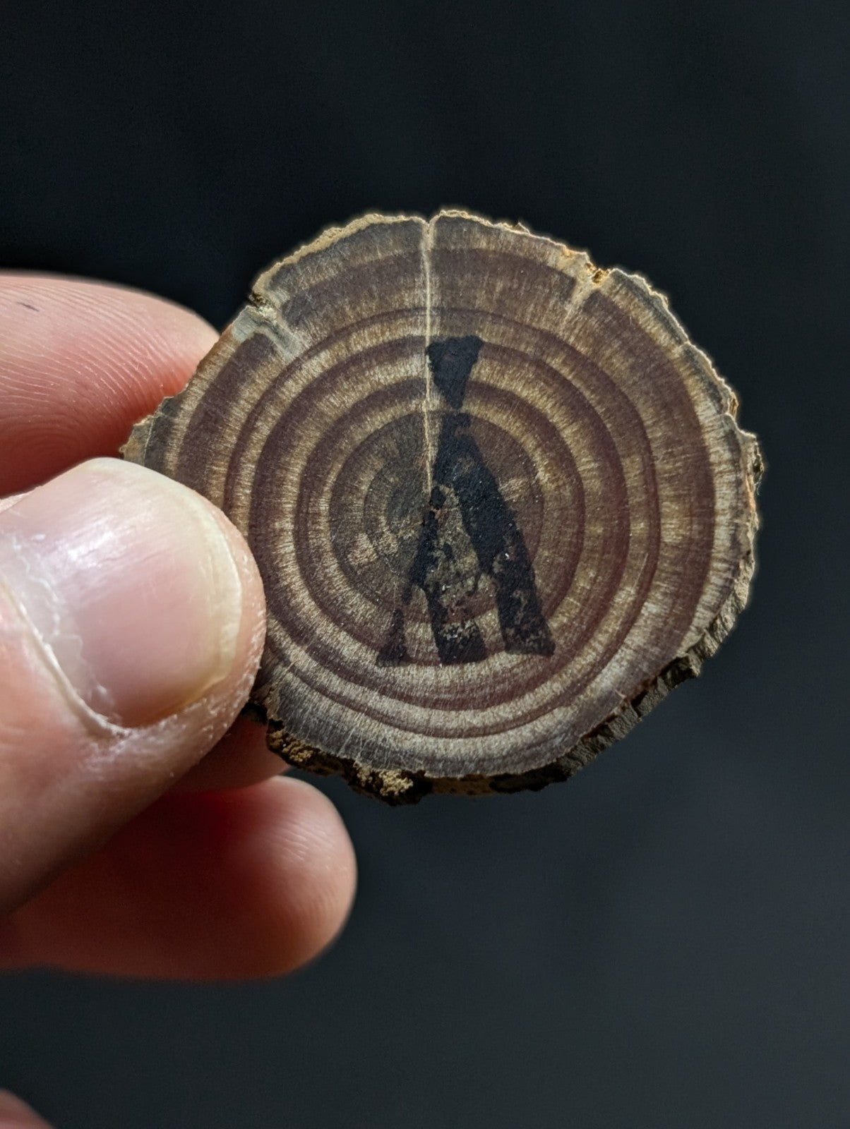 A circular wooden slice with visible growth rings and a black silhouette of a figure painted on its surface.