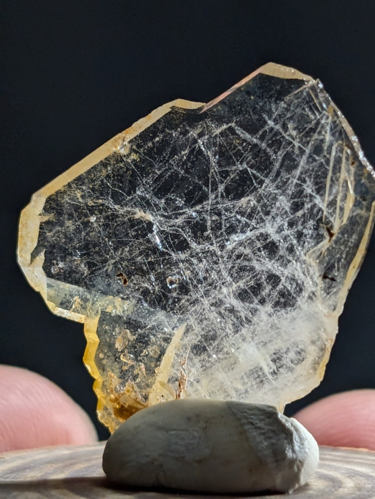 A translucent yellowish-black mineral specimen with intricate white crystalline patterns and a rough, jagged edge.