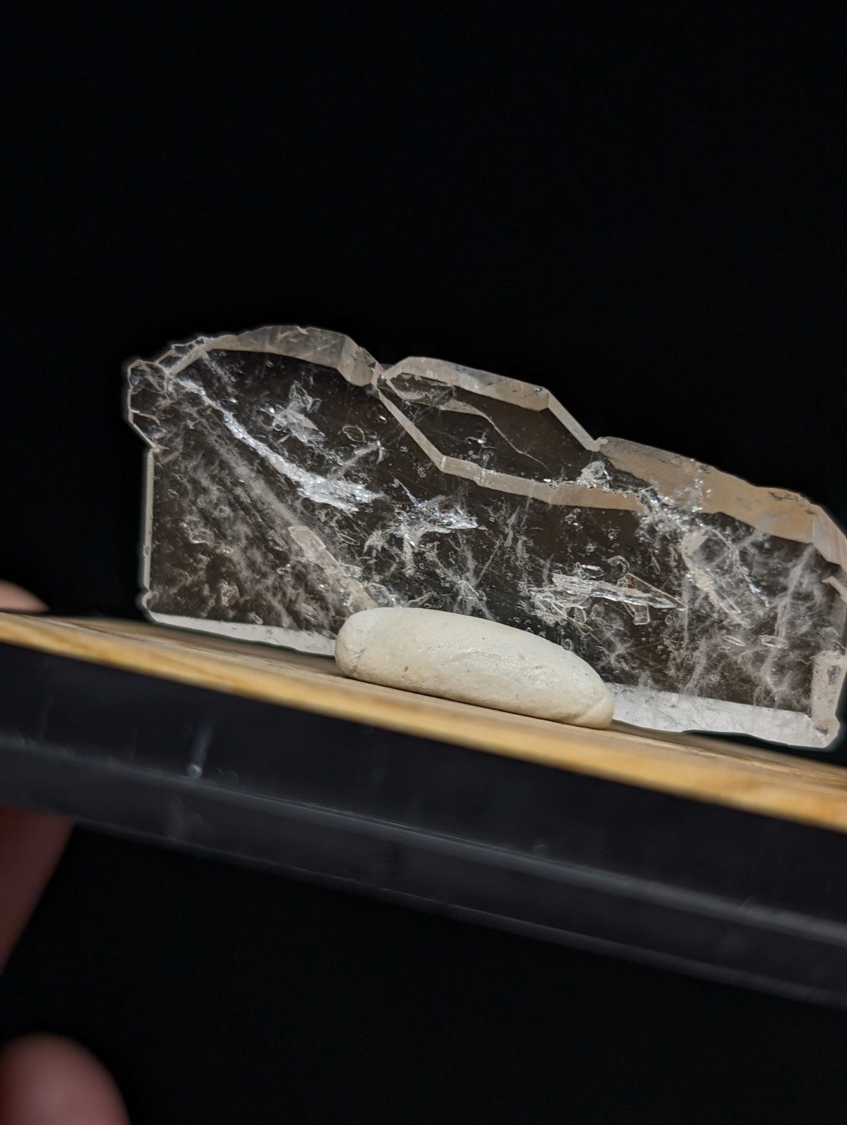 A translucent, irregularly shaped crystal with visible internal veining and a smooth, slightly rough-edged surface.