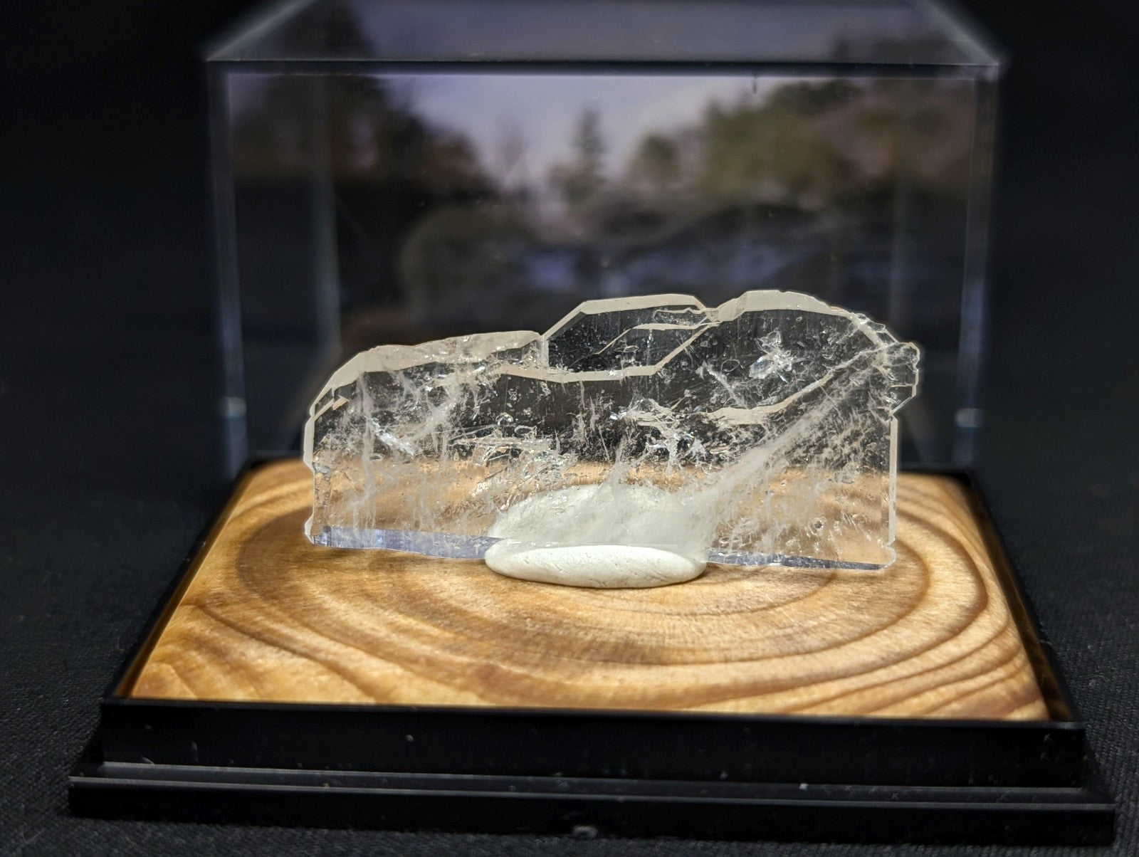A transparent, irregularly shaped crystal specimen with internal web-like inclusions rests on a circular wooden base inside a clear display case.