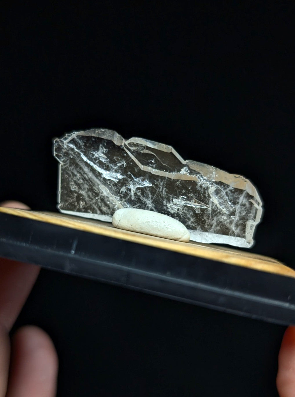 A translucent, irregularly shaped crystal with white veining and a rough, jagged edge.