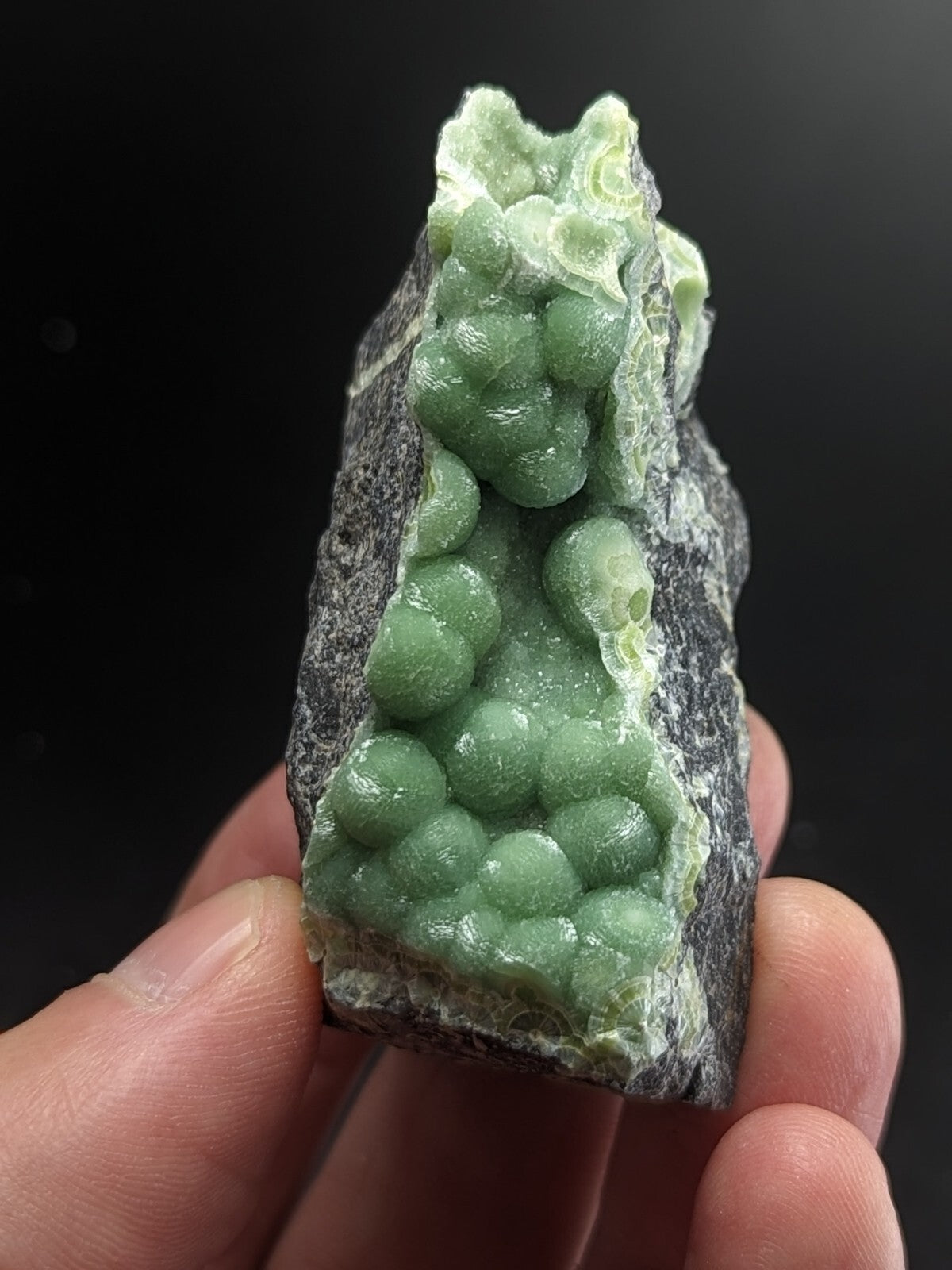 A hand holds a striking green mineral specimen featuring rounded, bubble-like crystals growing from a dark gray rock matrix.