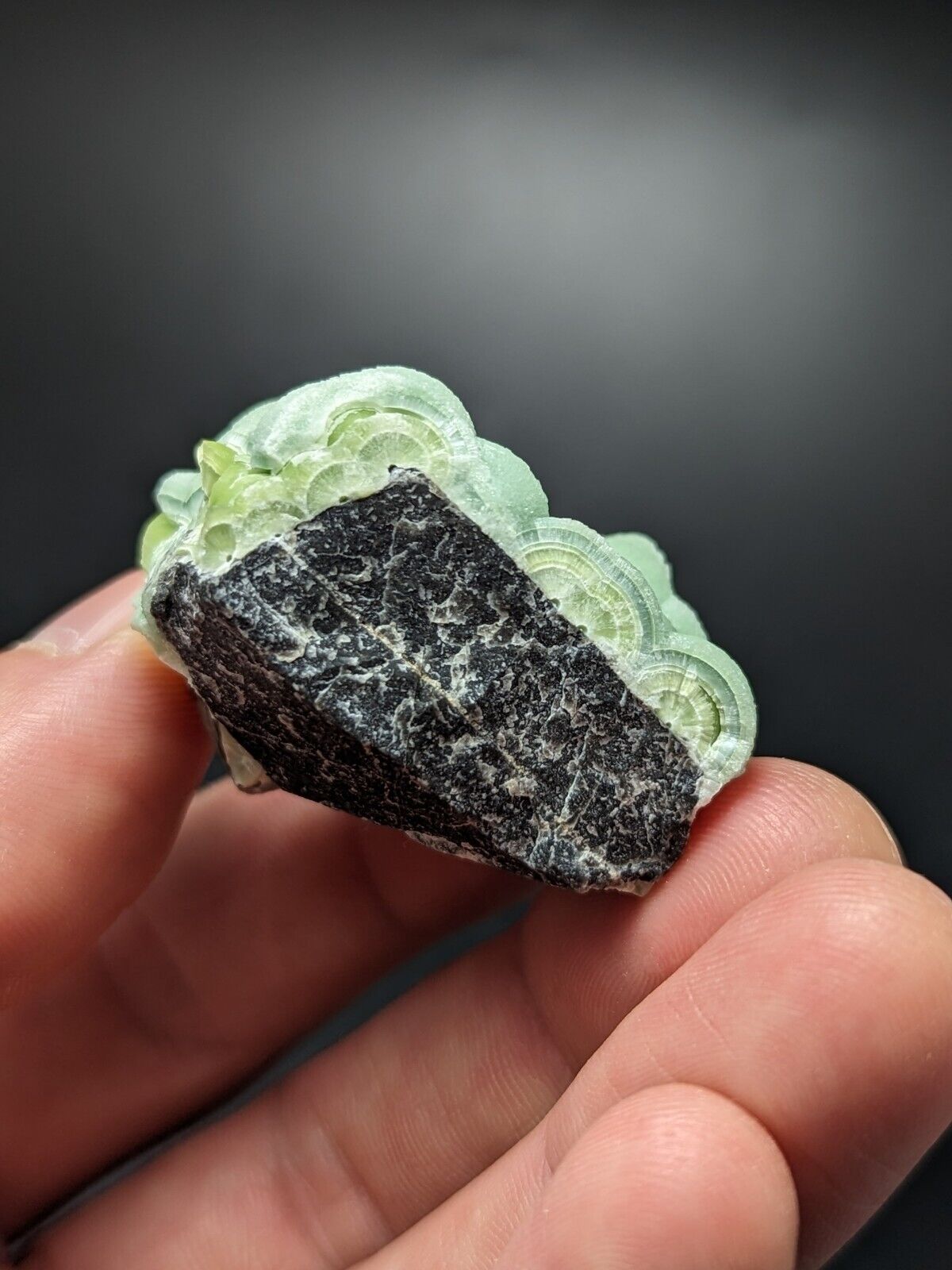 A + + + Fine Wavellite - Fantastic Old Stock - Mauldin Mountain Arkansas ooak - Collectibles:Rocks Fossils &