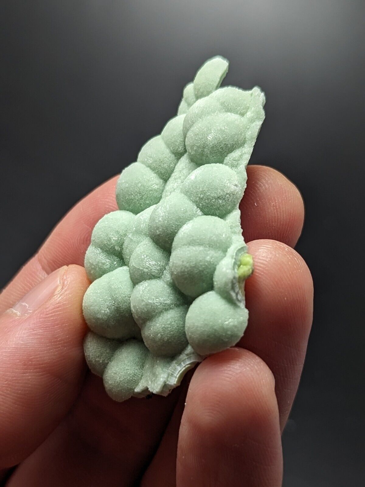 A + Fine Wavellite - Fantastic Old Stock - Mauldin Mountain Arkansas ooak - Collectibles:Rocks Fossils &