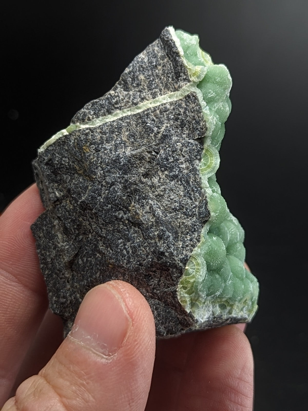 A hand holds a striking green fluorite specimen with intricate, bead-like formations against its dark gray matrix.