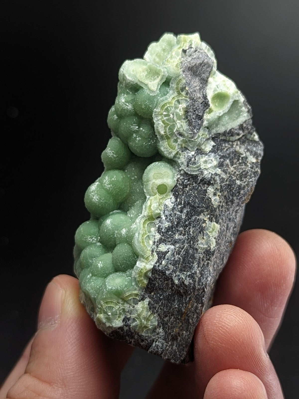 A hand holds a dark gray rock specimen featuring clusters of translucent, light green spherical crystals with intricate lace-like patterns.